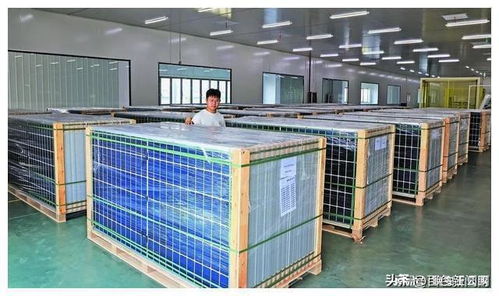 中南光電百色光伏裝備產業園項目建成投產 點亮綠色能源新篇章